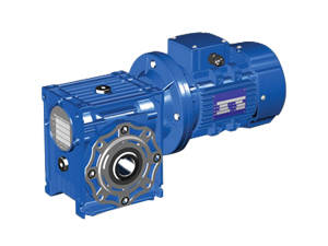 蝸輪減速機廠家，蝸輪減速機尺寸可定做嗎